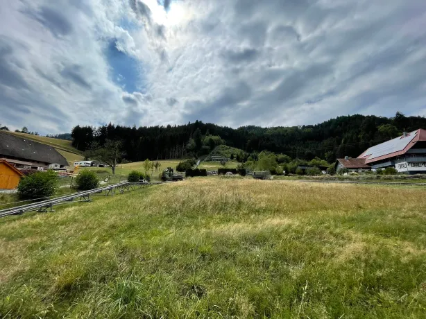 Sommerrodelbahn Gutach