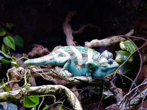 Layton Aquarium & Wildlife