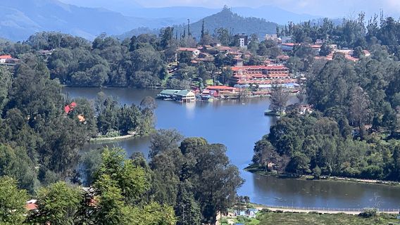 Upper Lake View