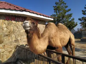 Park Leviv "Tayhan"
