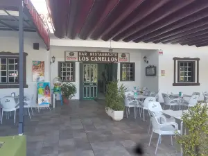 Camello center (paseos en camello y restaurante)