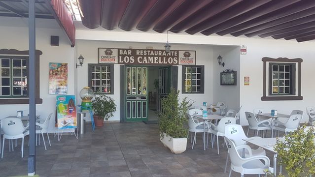 Camello center (paseos en camello y restaurante)