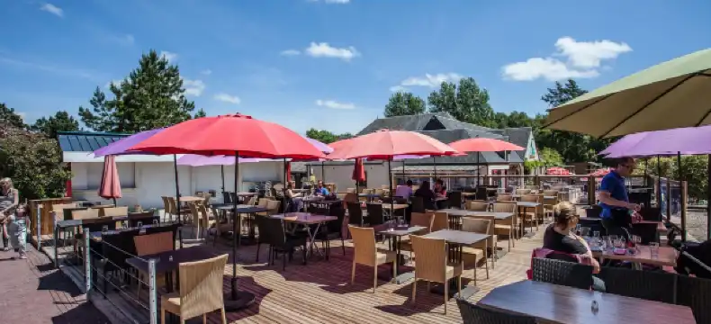 Premiere Classe properties in Calvados