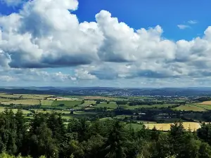 Haldon Forest Park - Forestry England