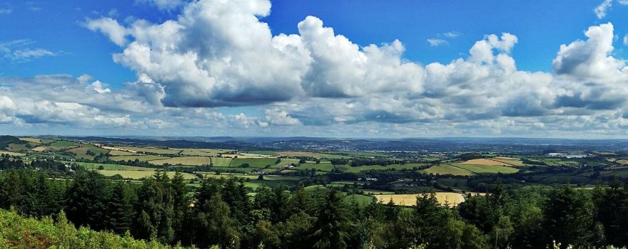 Haldon Forest Park - Forestry England