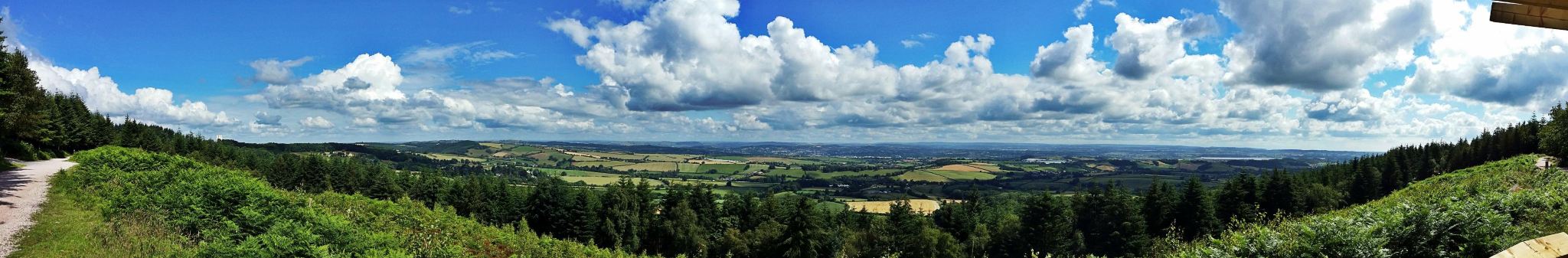 Haldon Forest Park - Forestry England