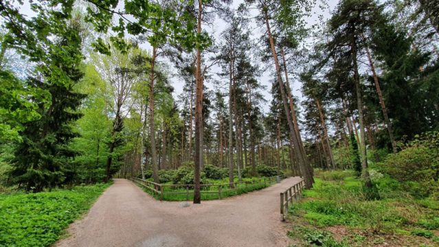 Haaga Rhododendron Park