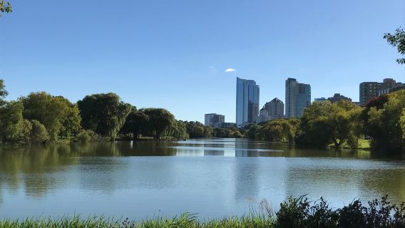 Veterans Park