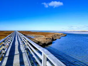Grays Beach