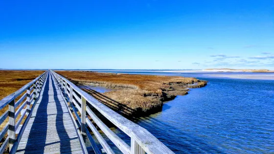 Gray's Beach