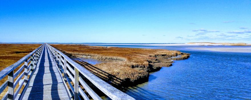 Grays Beach