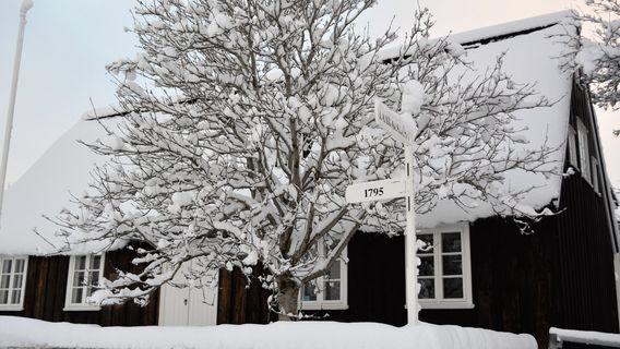 Laxdal House (Laxdalshus)