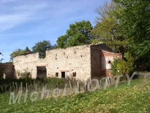 Ecomusee des monts du Forez