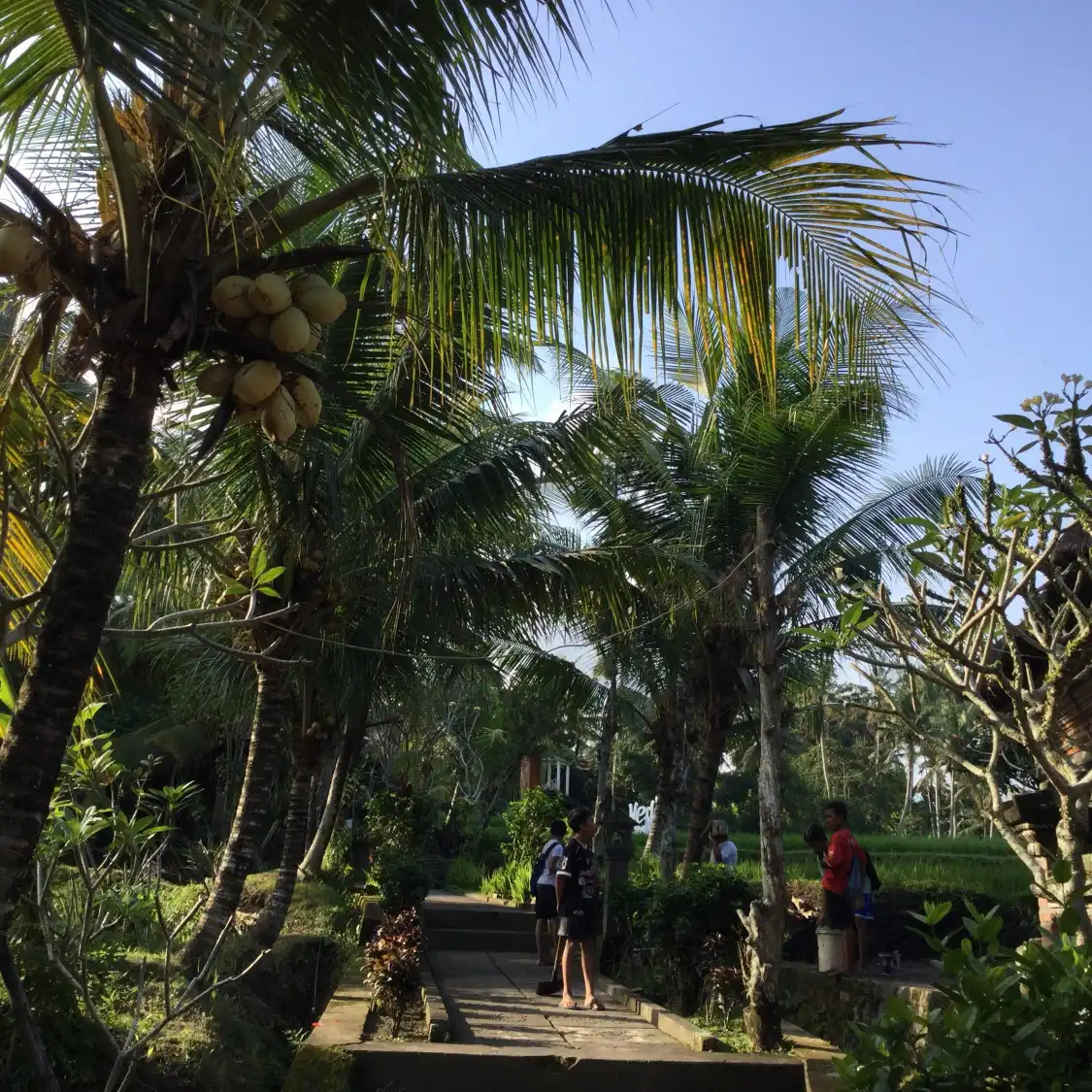Hotel in zona Yeh Pulu Temple
