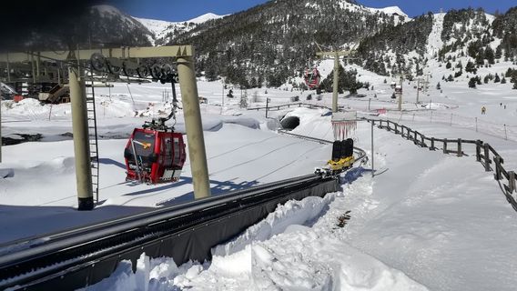 Luge Monty Express