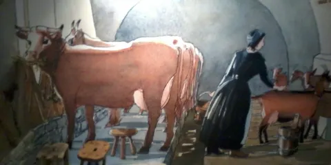 The Belleville Museum