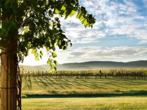 LedgeStone Vineyards