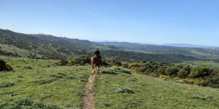 RIDING FUN IN THE SUN