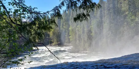 Dawson Falls