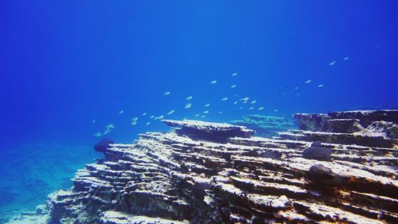 We Shall Sea Amorgos Diving Center