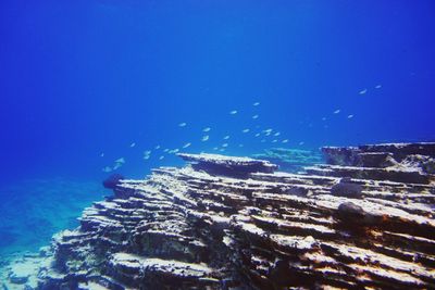 We Shall Sea Amorgos Diving Center