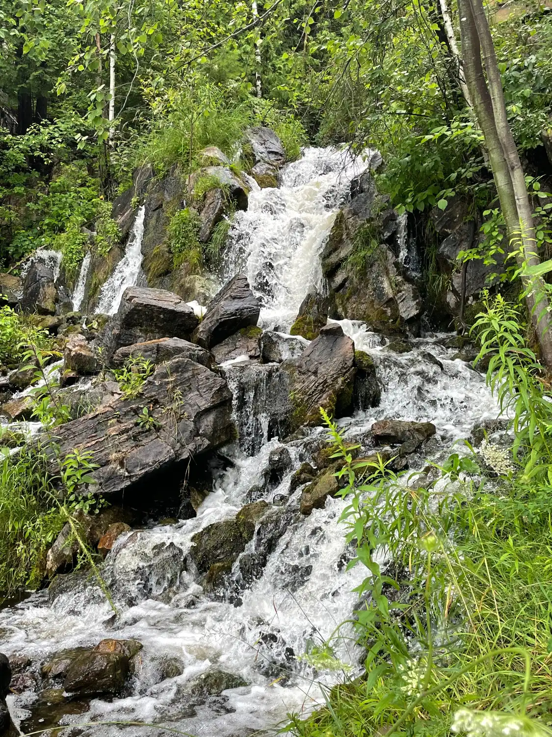Hotels near Fumee Falls