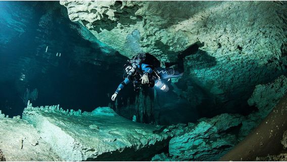Cenote Xplore