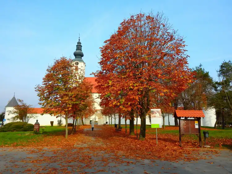 Hotels in Kutina