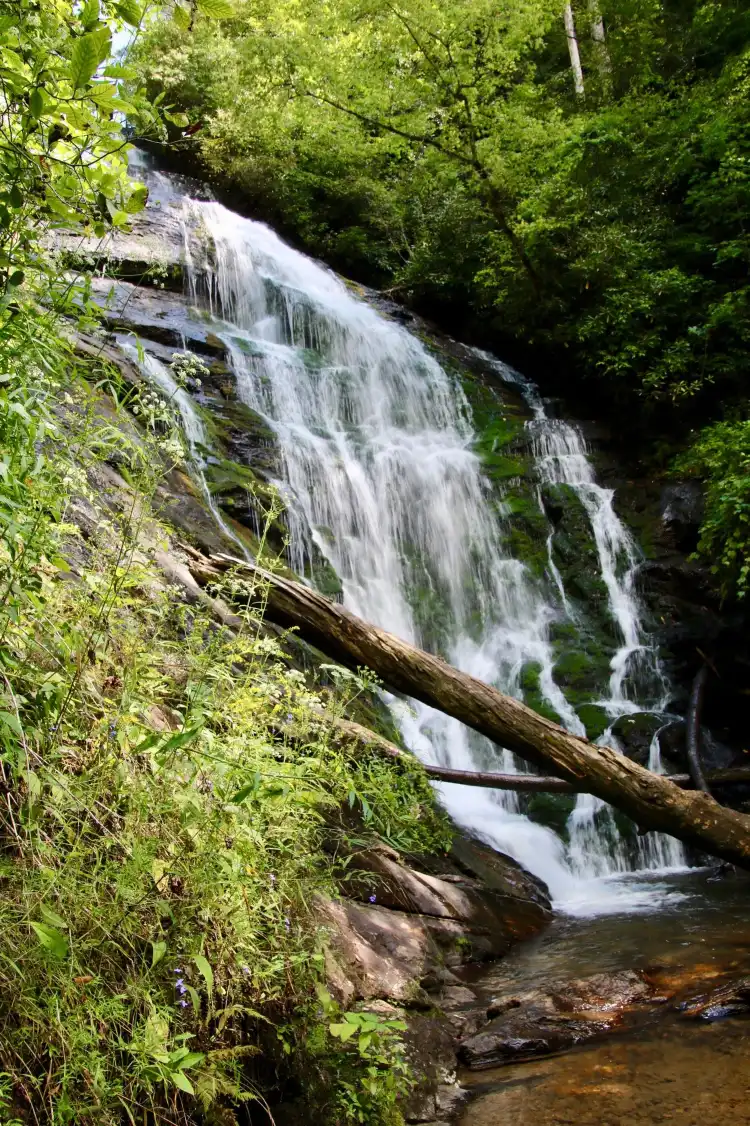 Oconee County