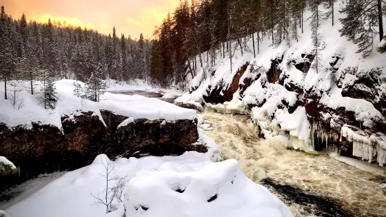 Kiutakongas Rapids