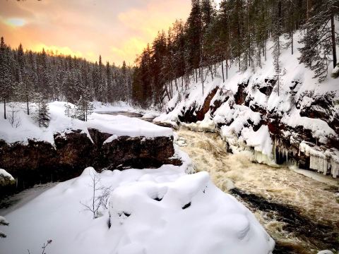 Kiutakongas Rapids