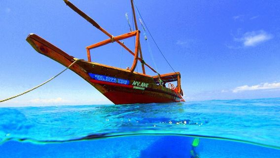 One Ocean Dive Centre - Matemwe