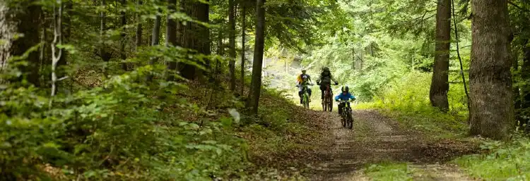 Hotels near Bike Resort Sinaia