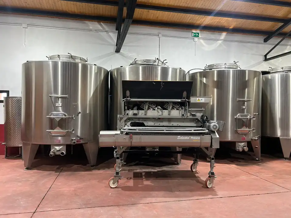 2_Bodegas Baden Numen