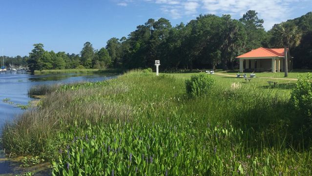 Wakulla River Park