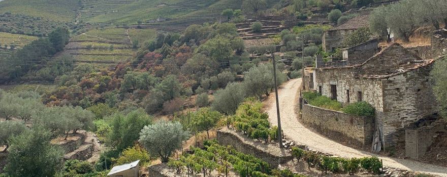 Covas do Douro