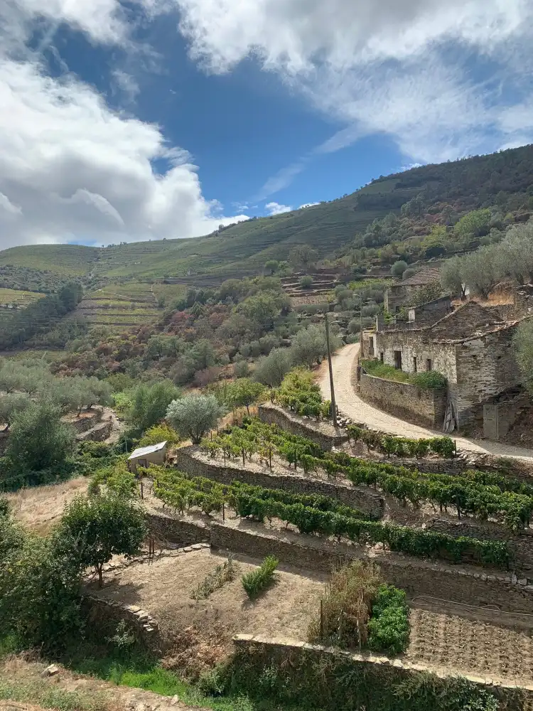 Hotel a Covas do Douro