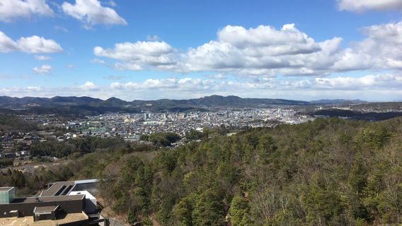 Tajimi
