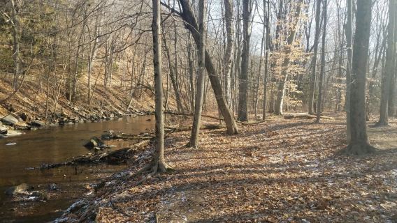 Cotton Hollow Preserve