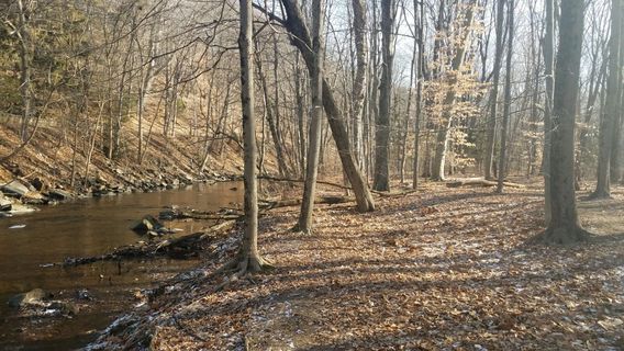 Cotton Hollow Preserve