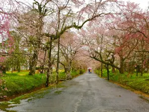 Tokusahachimangu