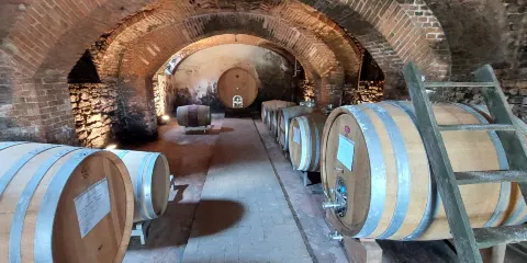 Cantina Dacapo - Ca ed Balos