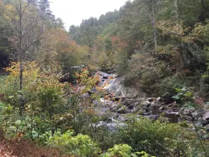 Quarry Falls