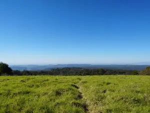 Ravensbourne National Park