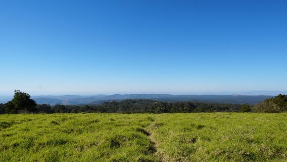 parc national Ravensbourne