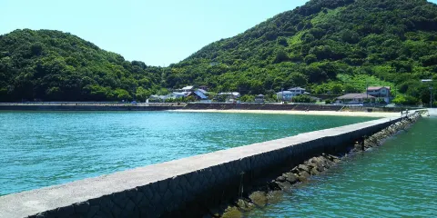 青佐鼻海岸