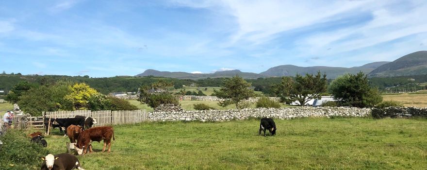 Llanbedr