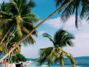 Pantai Wambuliga