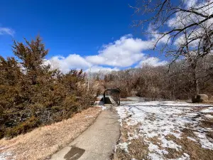 Lion's Beuth Park