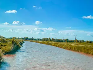 Ahiraula Nagwa